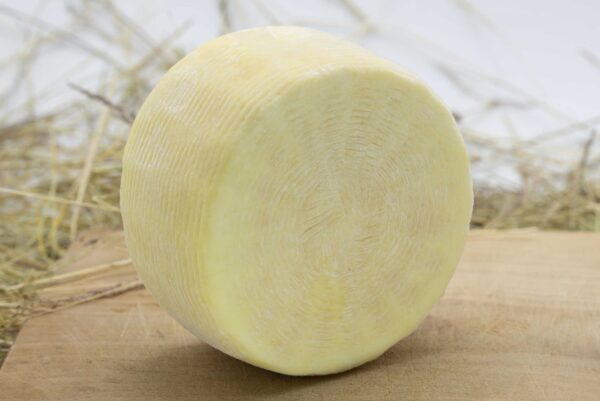 Formaggio Fresco – pezza intera