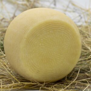Formaggio Semi Stagionato – pezza intera