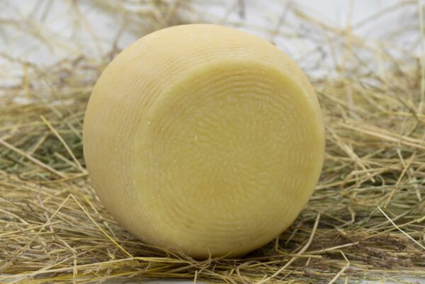Formaggio Semi Stagionato – pezza intera
