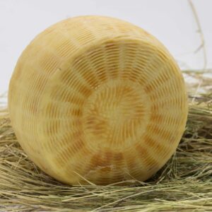 Formaggio Stagionato – pezza intera