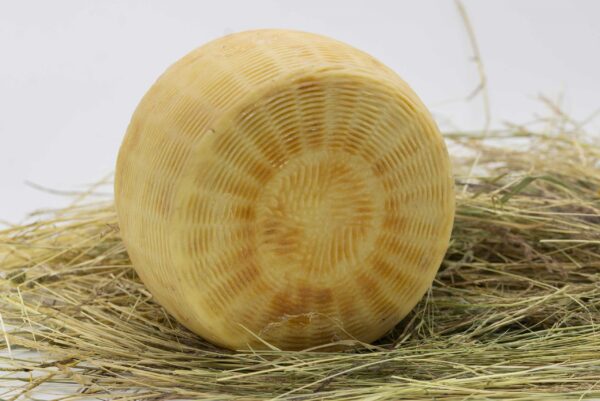 Formaggio Stagionato – pezza intera