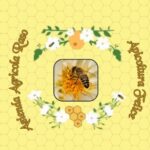 Apicoltura Raso Filice