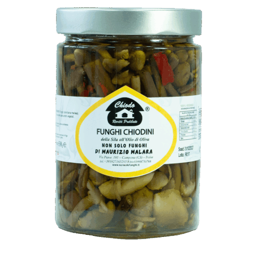 Funghi chiodini della sila all’olio di oliva