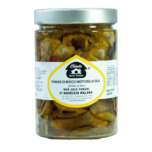 Funghi di bosco misti della sila all’olio di oliva